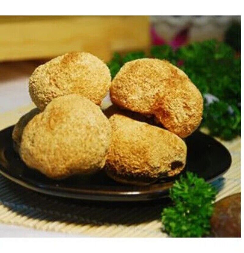 Bartzahn Affenkopf Pilz Hericium Erinaceus Bull Fr Pers 500g