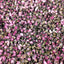 Dried Peach Blossom Flower Tea Natural Dry Peach Flower Herb Tea 500g