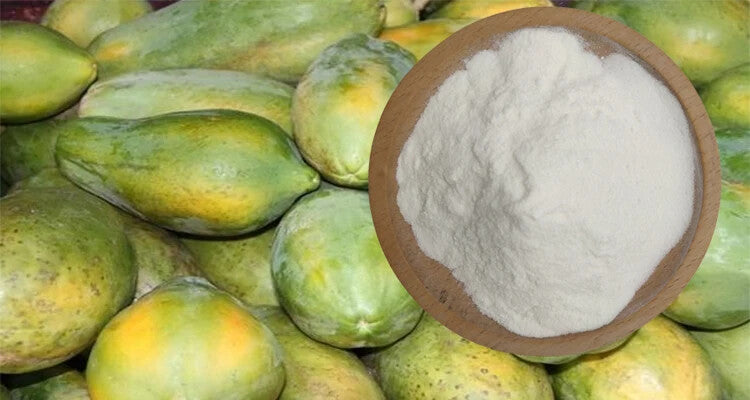 250g Wholesale 98% Pure Powder Refined Papain Enzyme Papain Enzyme in Bulk