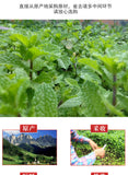 Bulk Dried Mint Powder Edible Mint Leaf Powder Supply Green Mint Leaf 500g