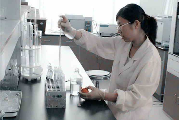 100g raw puer tea cake Pu'er tea health care yunnan chinese Good sheng puerh Tea