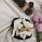 100g Spicy Wild Pepper Ready-to-Eat Treat Pickled Chicken Feet Snack