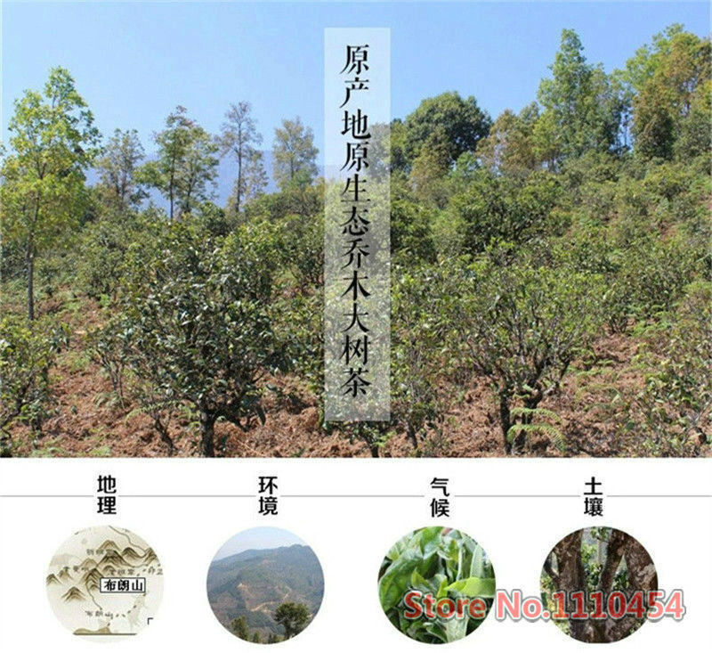 100g  Puerh Tuo Cha Yunnan Raw Pu-Erh Tea Organic Ancient Trees Puer Green Tea