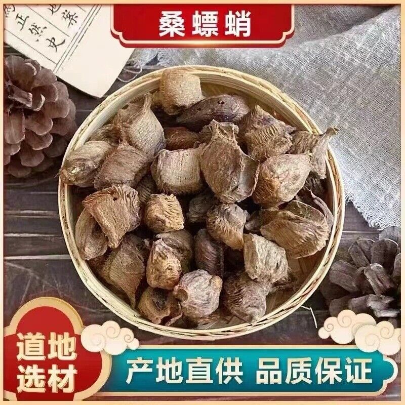 15g/can Wild Mantis Egg-case Independent Chinese Herbs Sangpiaoxiao Sulfur-free