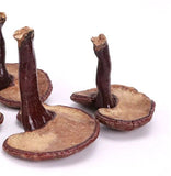 500g Bulk Supply Reishi Mushroom Tea Benefits in Good Price Reishi Sale Online