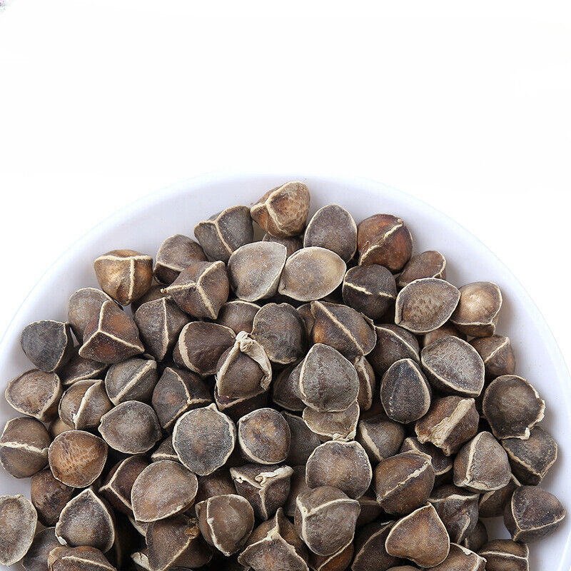 Bulk Moringa Seeds Large Moringa Seeds Produce Flower Tea 500g