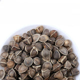 Bulk Moringa Seeds Large Moringa Seeds Produce Flower Tea 500g