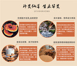 500g Wild Reishi Spore Powder Ganoderma Lucidum Lingzhi Tea Mushroom Herbal Tea
