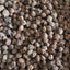 New Dried Plums Non-Smoked New Dried Plums Medicinal Purposes 500g/1.1lb