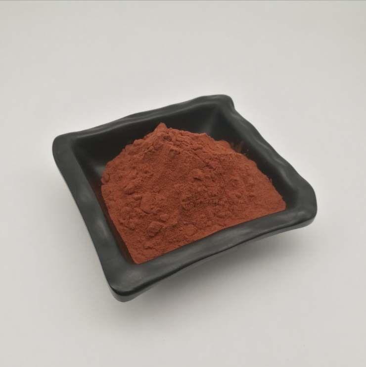 100g Pine Bark Extract Powder, 95% OPC, High Purity