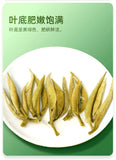 White Hair Silver Needle Premium White Tea Moonlight White Tea Ancient Trees125g
