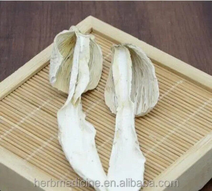 500g Organic Shaggy Mane Coprinus Comatus Mull Fr Gray Dried Mushroom