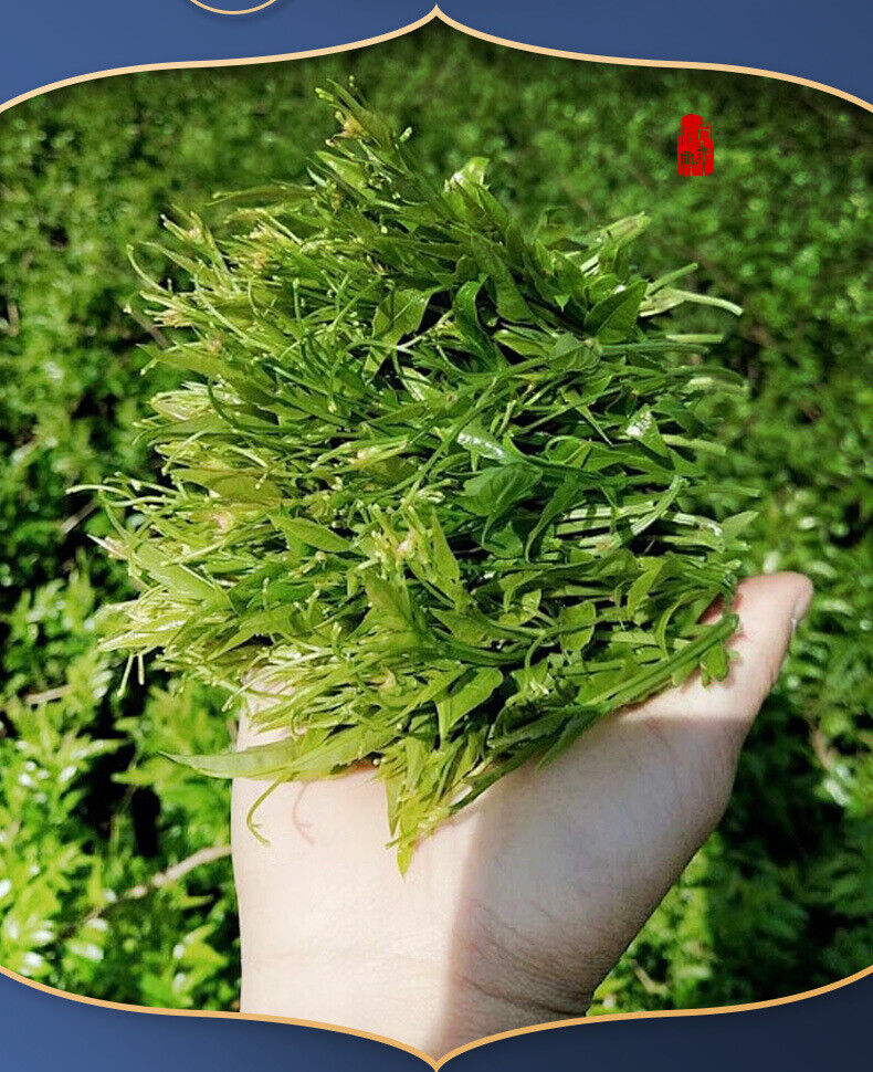 25g/box New Tea Yajian Berry Tea Zhangjiajie Vine Tea Healthy tea