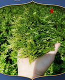 25g/box New Tea Yajian Berry Tea Zhangjiajie Vine Tea Healthy tea