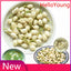 High Quality Weight Loose Tea Dried Jasmine Flower Tea