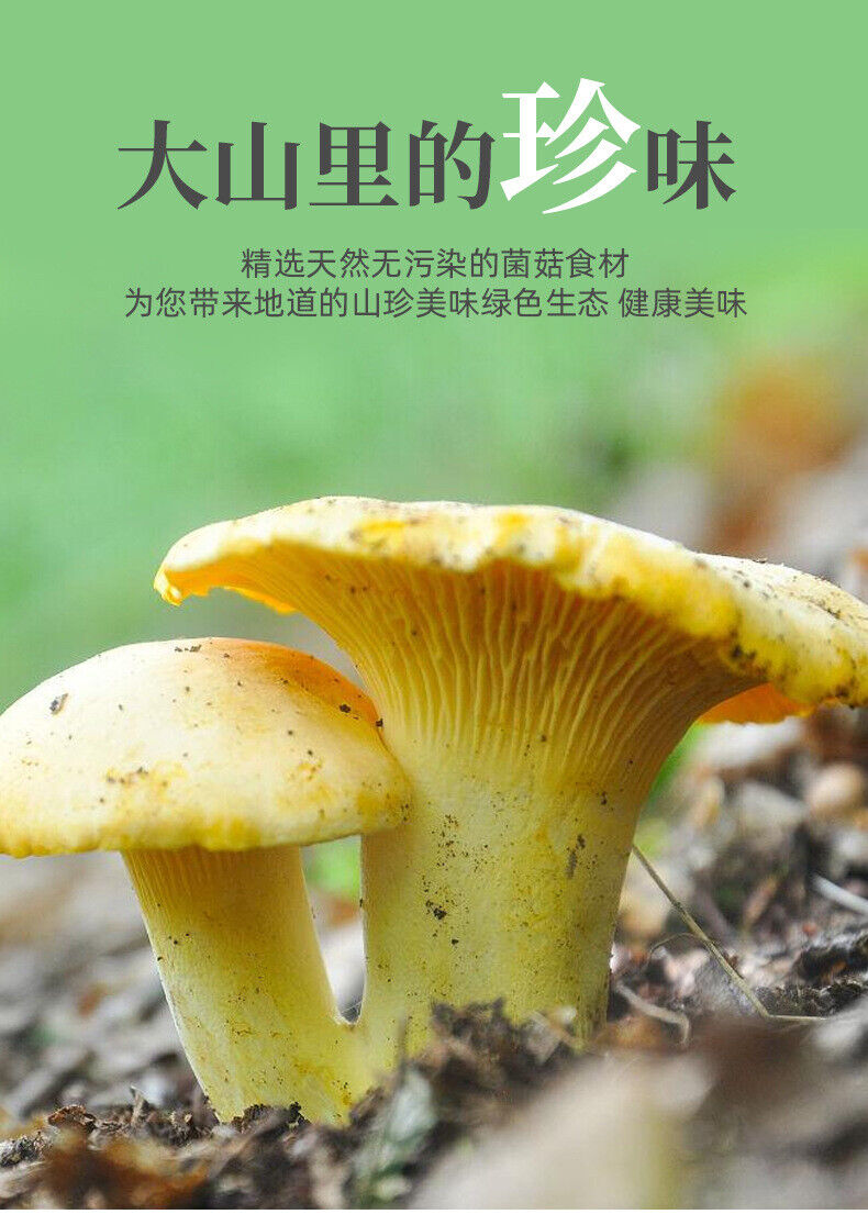 Yunnan Specialty Chanterelles Dried Yellow Silk Mushrooms Edible Mushrooms 80G