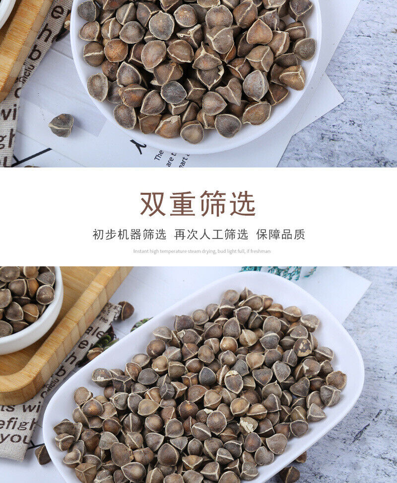 Bulk Moringa Seeds Large Moringa Seeds Produce Flower Tea 500g