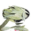 Senna Dried Leaf Herbal Herbal Tea Loose Leaf Cassia Senna 100% Natural
