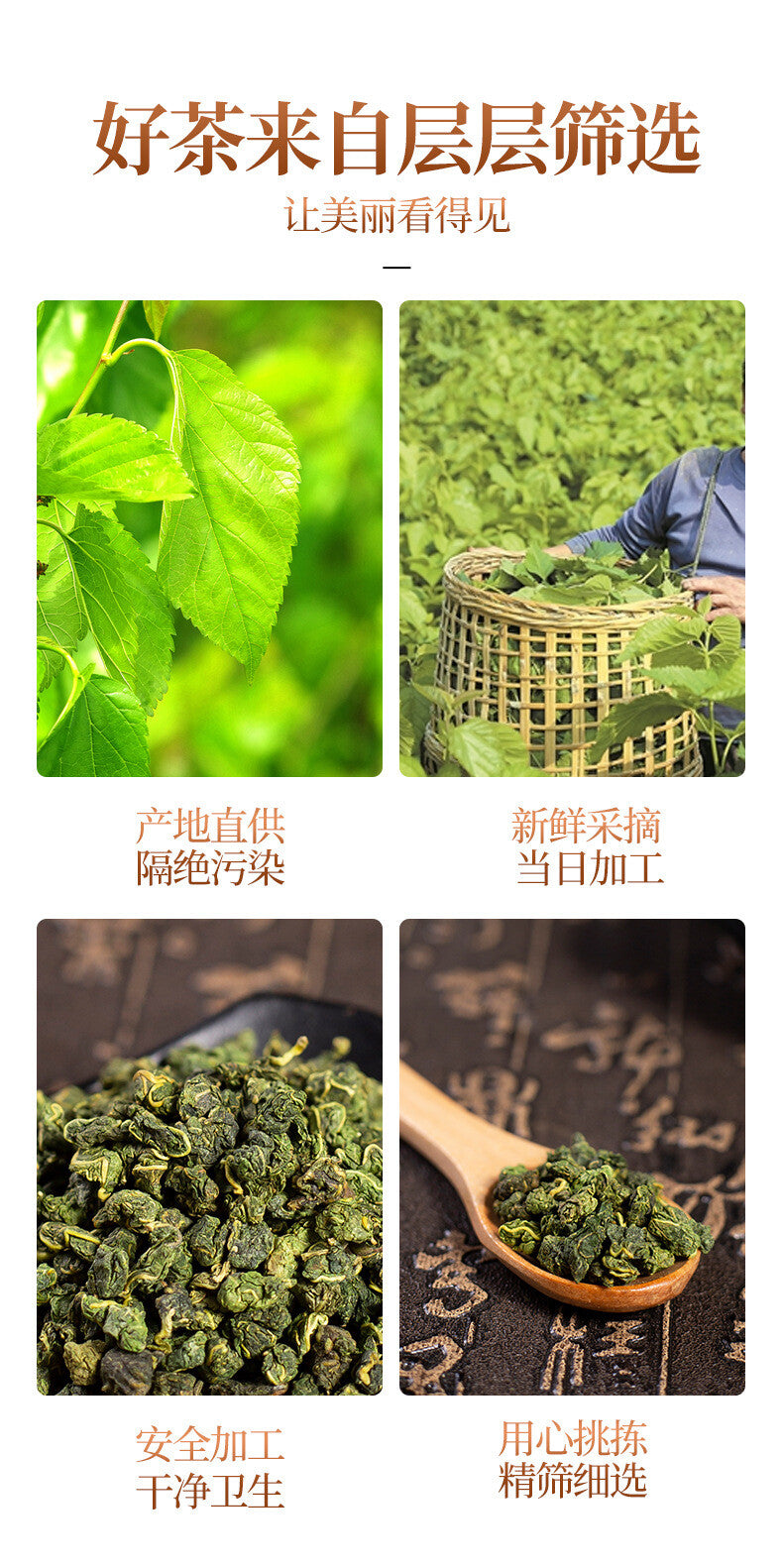 250G Frost Mulberry Leaf Tea Fresh Pure Natural Mulberry Leaf Granules Canned