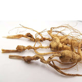 3 Pcs Dry Transplant Wild Ginseng Root 10-15 Years Relative Integrity