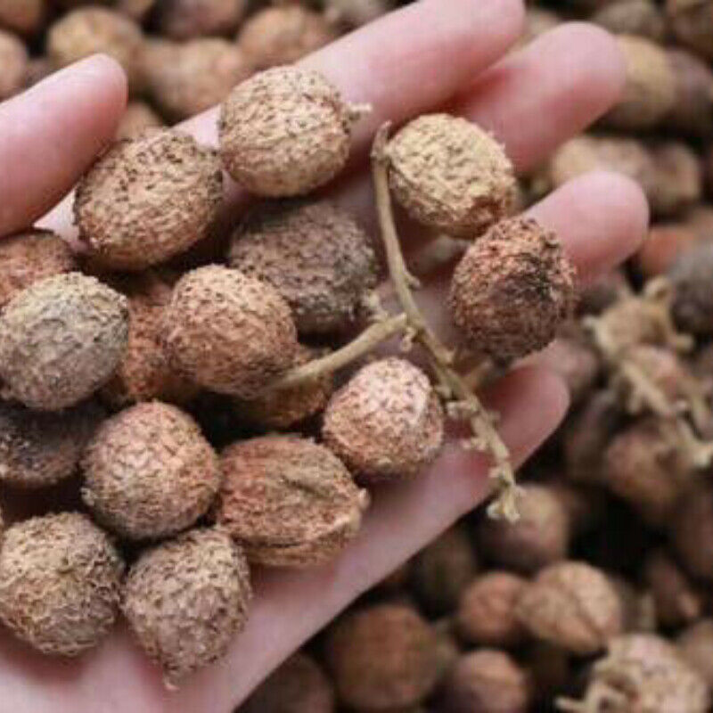 100g Chun Sha Ren Spring Sandnut Dried Fruit Healthy Herbal Tea 煲汤泡茶 泡酒养胃养生茶调理肠胃