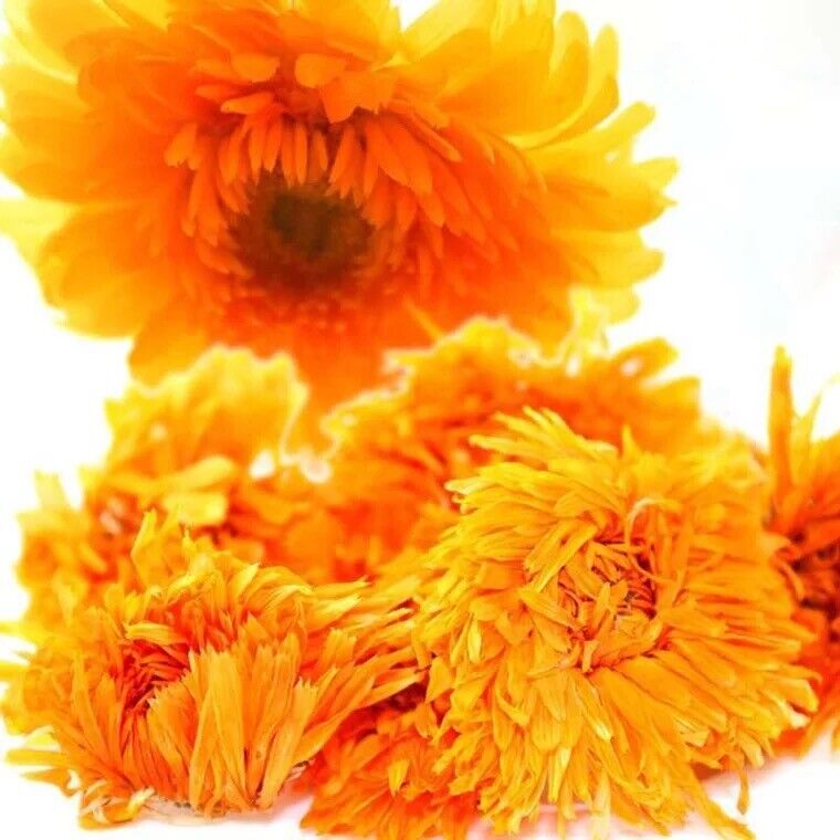 Calendula Herbal Dry Calendula Flowers Tea Natural Dried Flower Tea 500g/1.1LB