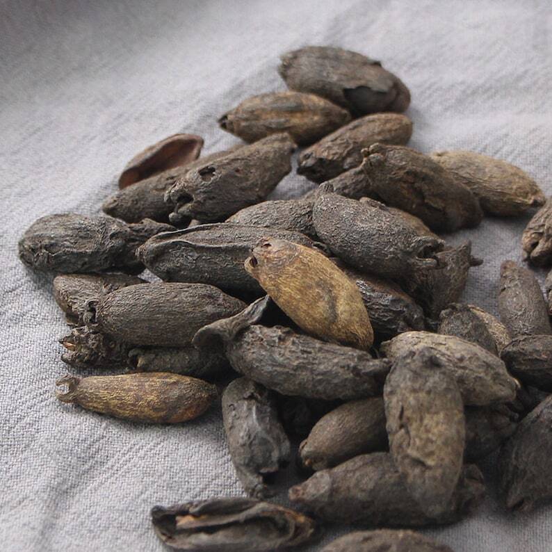 250g Mu Ding Xiang 母丁香, Clove Fruit, Fructus Syzygium Aromaticum, Ji She Xiang