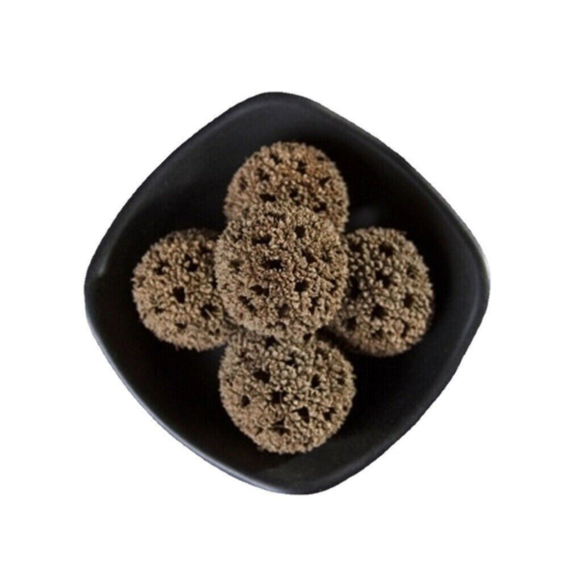 100% Natural Liquidambar Fruit Herbs Lutang Medicinal Chinese Herbs