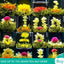 130g 16 Types Handmade Blooming Flower Tea Blooming Tea Balls Flowering Tea
