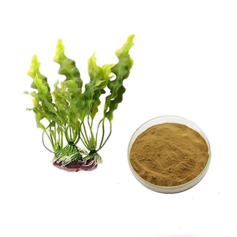 100g Seaweed Extract for Weight Loss, Not Fucoidan Fucoxanthin Powder 10%