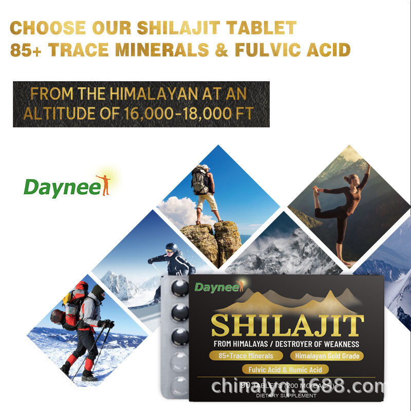 Shilajit Pure Boost Metabolismus Himalaya Extrakt Steroid90caps 200mg Organisch