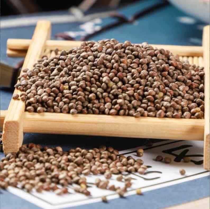 250g Dried Purple Perilla | Perilla Frutescens | Fructus Perilla seed | Zi Su