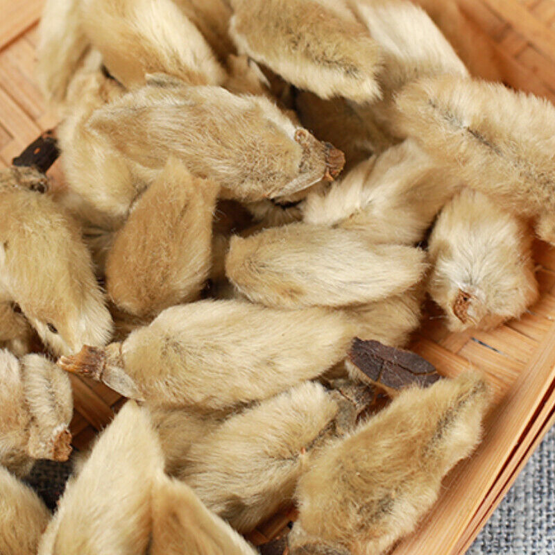 100% Natural Organic Scented Tea Xinyihua Chinese Specialty 250g/500g 辛夷花