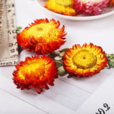 Chrysanthemums Dried Chrysanthemums Bulk Herbal Tea 500g