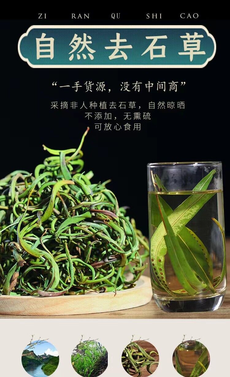 Orthosiphon Aristatus Golden Grass Tea - Kidney Essence Grass, 50g Canned