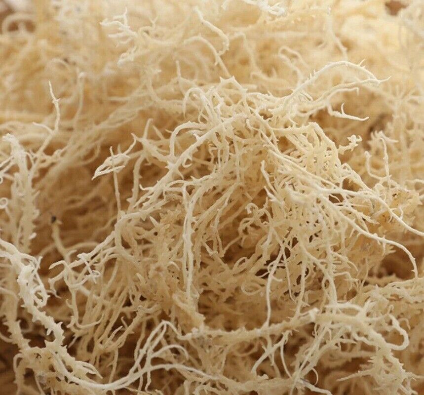 500g Sea Moss Raw Gold Irish Seamoss Natural Vegan Non-GMO Sundried Seaweed