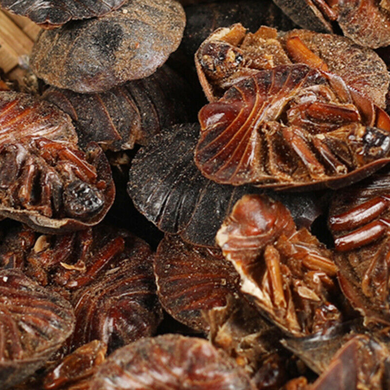 250g/8.8oz Organic Specialty Natural Organic Healthy Drink Health Care Zhe Chong