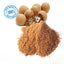 Bio frische Areca-Nuss Areca catechu Betelnuss getrocknete Nüsse gemahlen Pulver