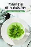 100g Buds Leaf of Chinese Holly New Kuding Tea  Fresh Bitter Tea Leaves Young