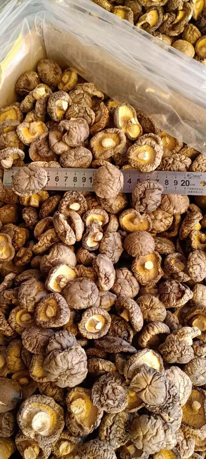 Chinese Glossy Mushroom Dried Mushroom 4-5cm Fujina Winter Dried Shiitake 250g