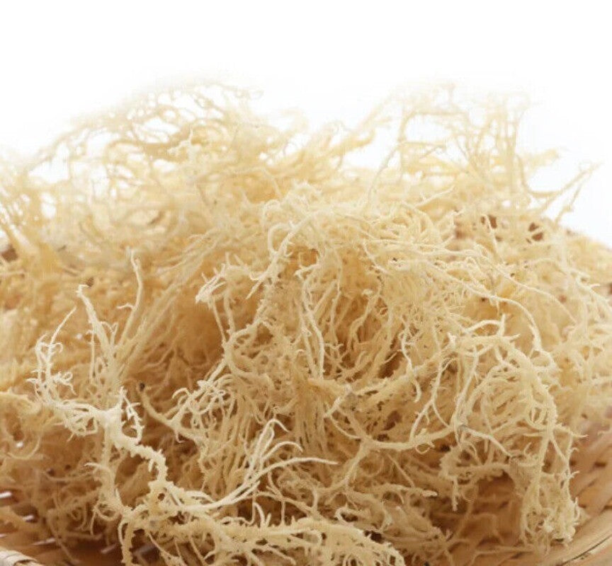 500g Sea Moss Raw Gold Irish Seamoss Natural Vegan Non-GMO Sundried Seaweed