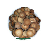 Huazhou Tangerine Red Slices Tangerine Red Huazhou Tangerine Red Slices in Water