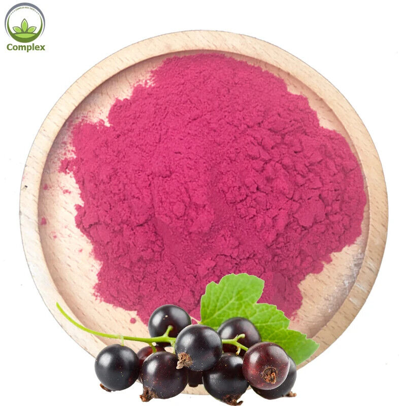 Best Quality Organic Black Currant Fruit Powder with Free Sample 250g