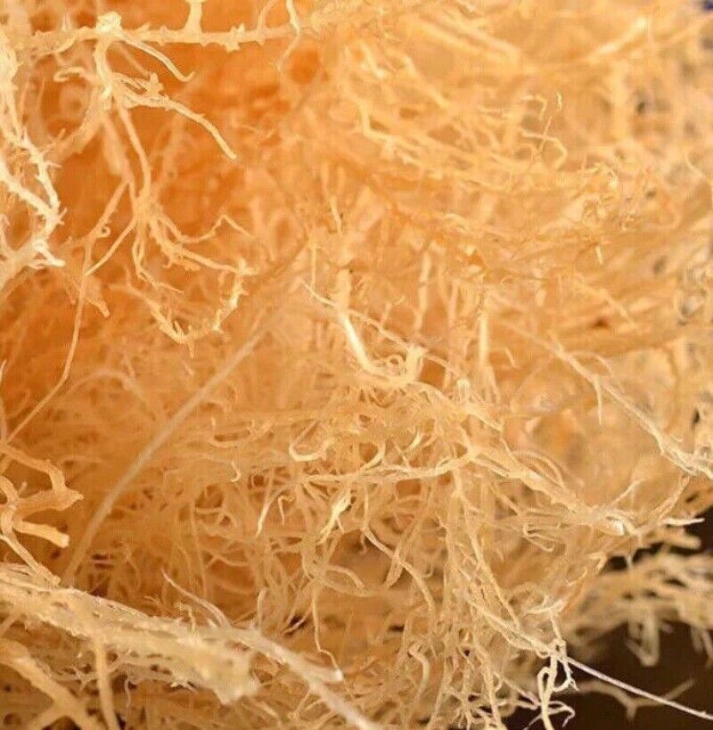 500g Sea Moss Raw Gold Irish Seamoss Natural Vegan Non-GMO Sundried Seaweed