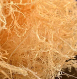 500g Sea Moss Raw Gold Irish Seamoss Natural Vegan Non-GMO Sundried Seaweed