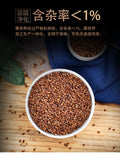 Black Buckwheat 500g Buckwheat Tea 黑苦荞茶