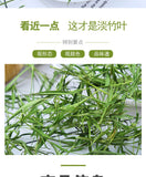 Bulk Bamboo Leaf Tea Limonium Tea Light Bamboo Leaf Herbal Tea 500g