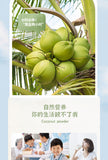 Coconut powder authentic Hainan special thick coconut milk flavor