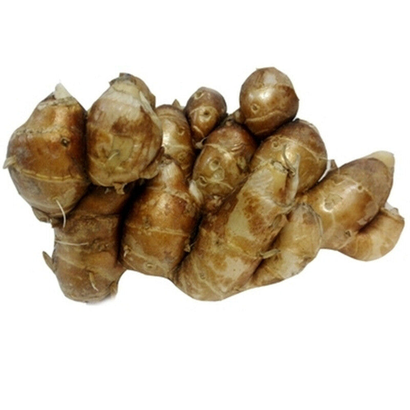 250g DRIED KAEMPFERIA GALANGA 100% Natural SLICED 沙姜