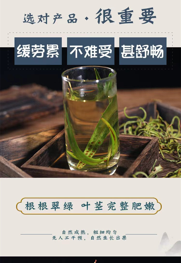 Orthosiphon Aristatus Golden Grass Tea - Kidney Essence Grass, 50g Canned